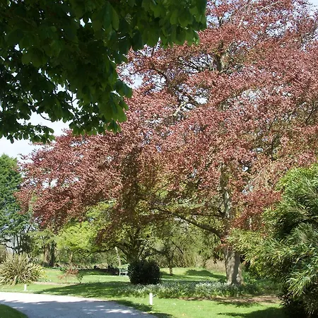 Bed & Breakfast Trewornan Manor *
